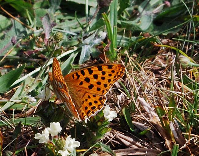 escursione in montagna