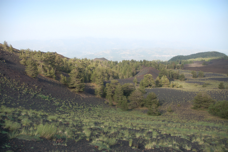 Etna-La grotta del gelo