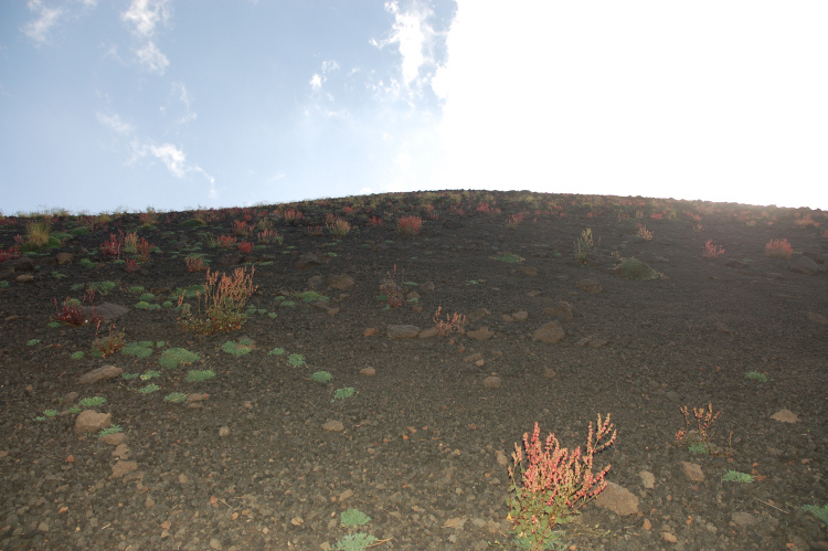 Etna-La grotta del gelo