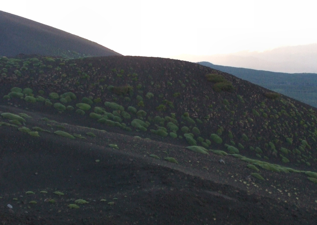 Il fuoco dellEtna. Giugno e luglio 2008 alla Valle del Bove