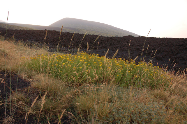 Il fuoco dellEtna. Giugno e luglio 2008 alla Valle del Bove