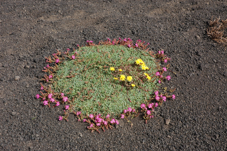 Etna-La grotta del gelo