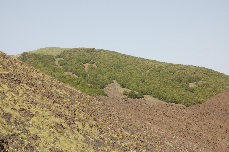 Etna-La grotta del gelo