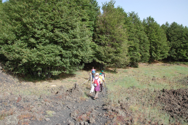 Etna-La grotta del gelo