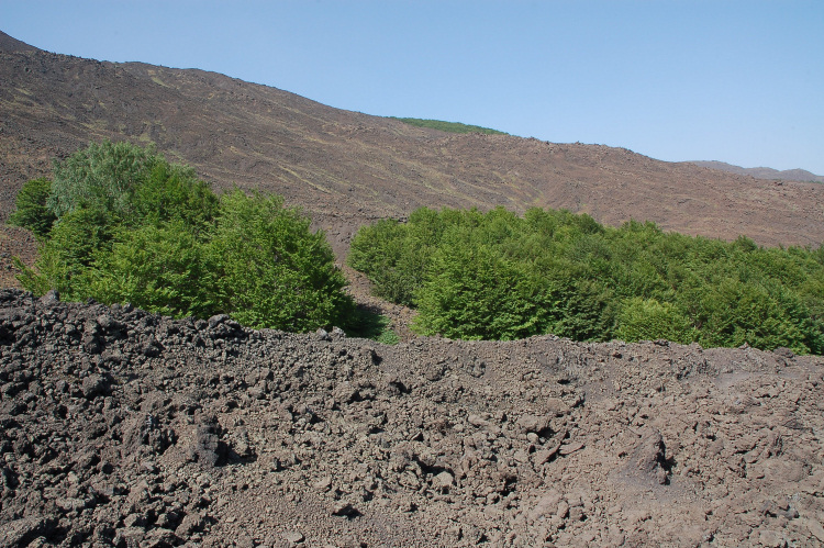 Etna-La grotta del gelo