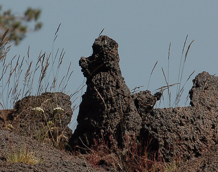 Etna-La grotta del gelo