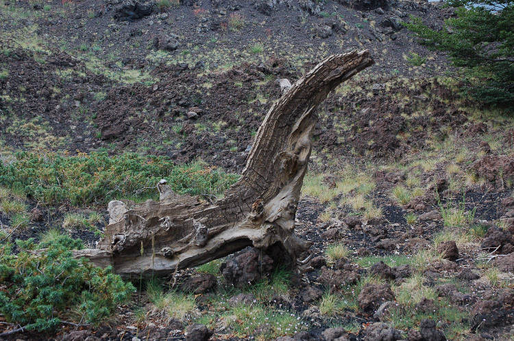 Le grotte dell''Etna