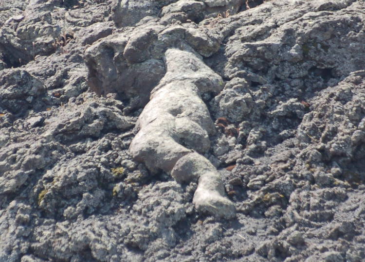 Etna-La grotta del gelo