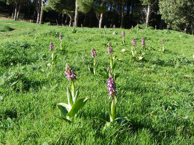 La valle delle Barlie