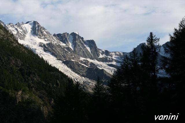 il Gran Paradiso e i suoi animali