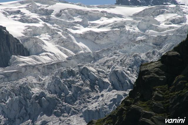 il Gran Paradiso e i suoi animali