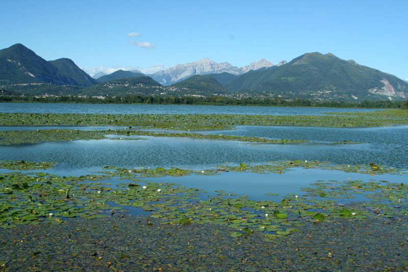 Laghi....della LOMBARDIA