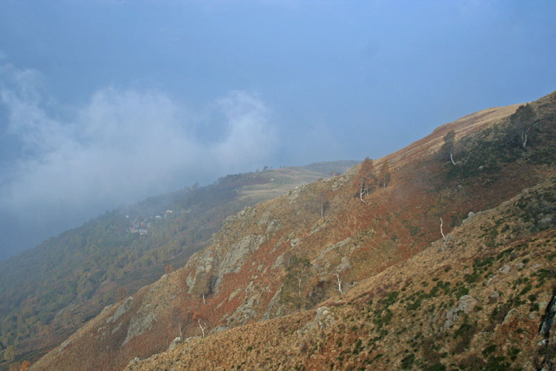 I primi colori d''autunno