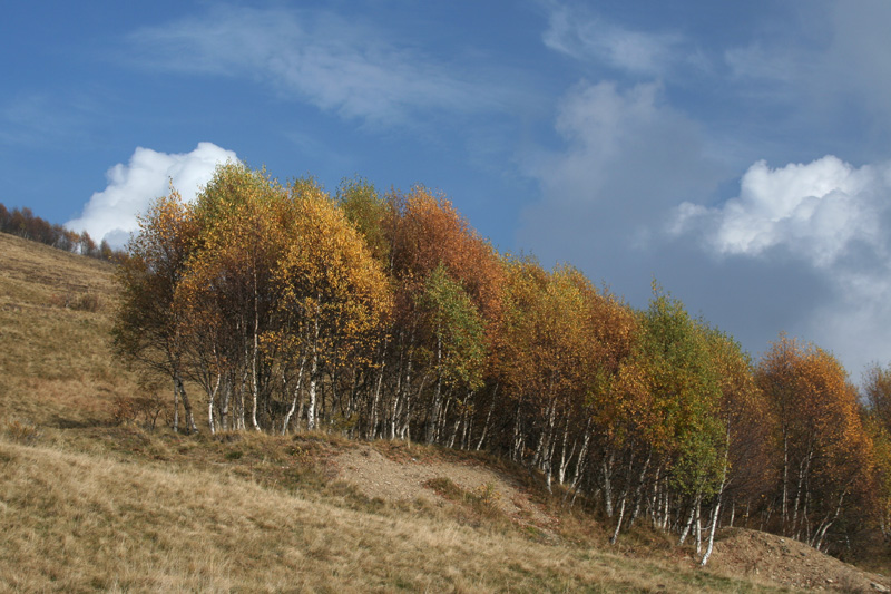 I primi colori d''autunno