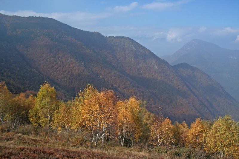 I primi colori d''autunno