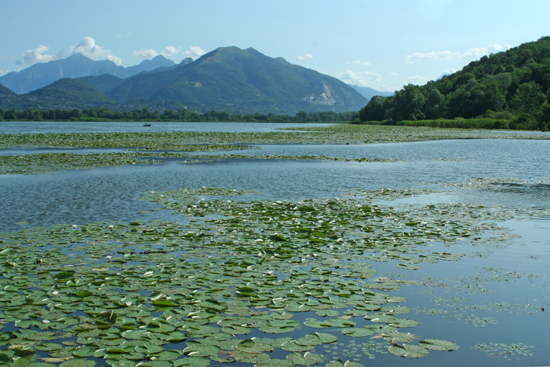 Laghi....della LOMBARDIA