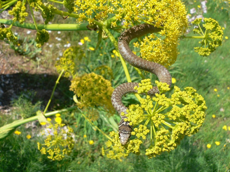 Un giretto nel Parco della Murgia, con quiz finale