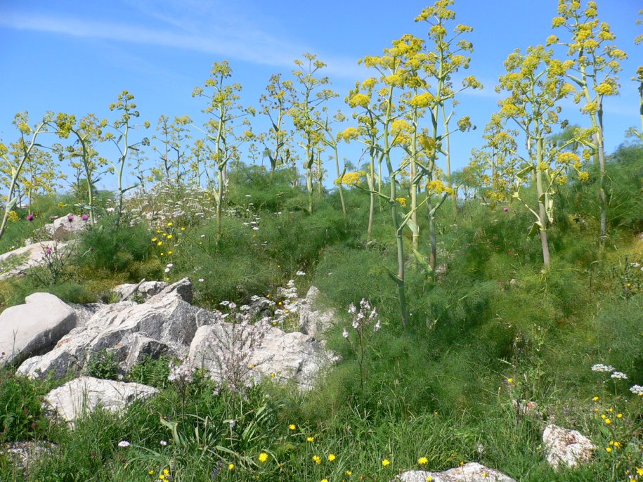 Un giretto nel Parco della Murgia, con quiz finale