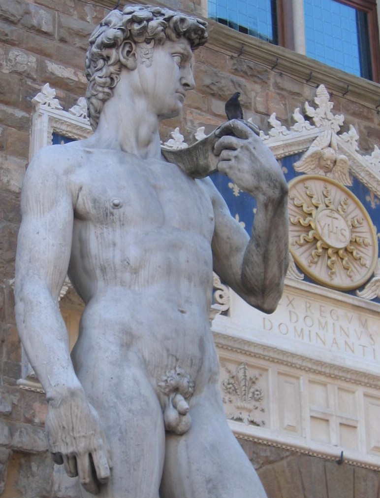 Statue e volatili