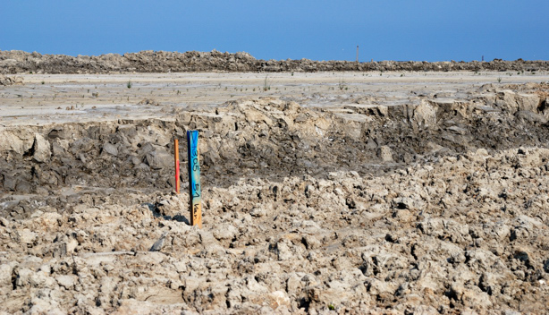 Distruzione di un ambiente: Cassa di Colmata A