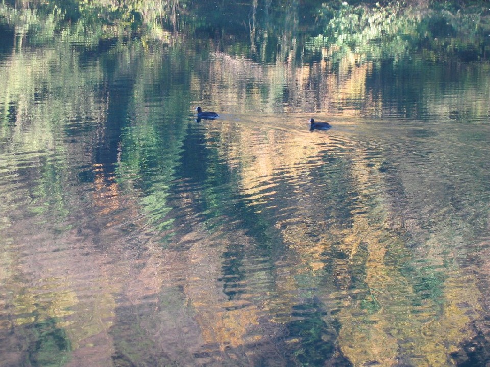 Dipingere con...l''acqua