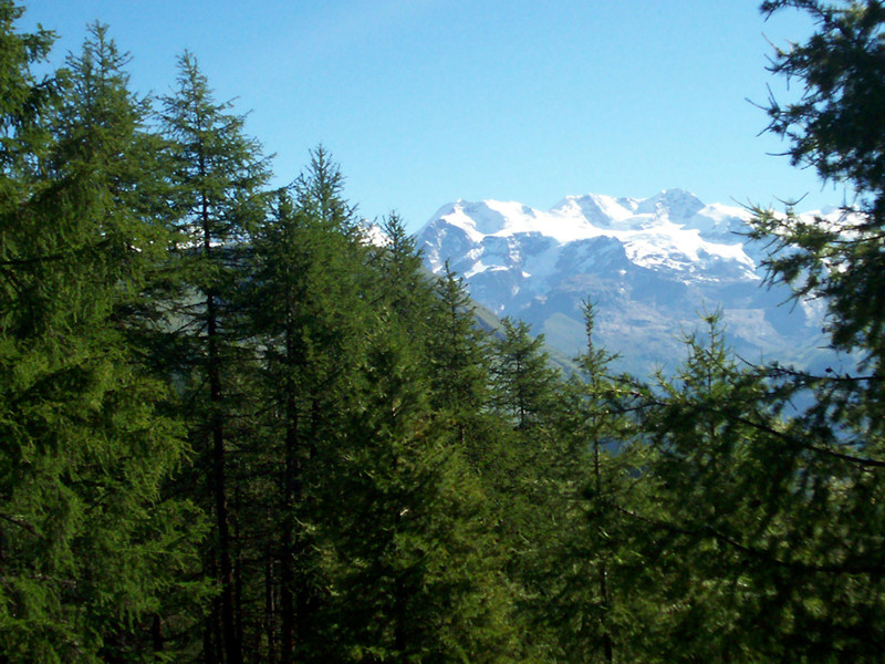 Monte Zerbion - 18 anni dopo