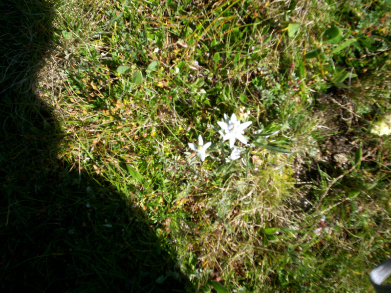 Tour dei laghi - Miserin, Blanc e Noir