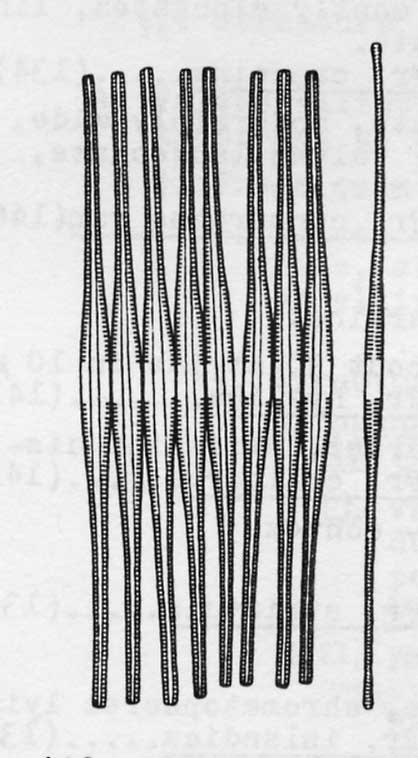 Fragilaria crotonensis