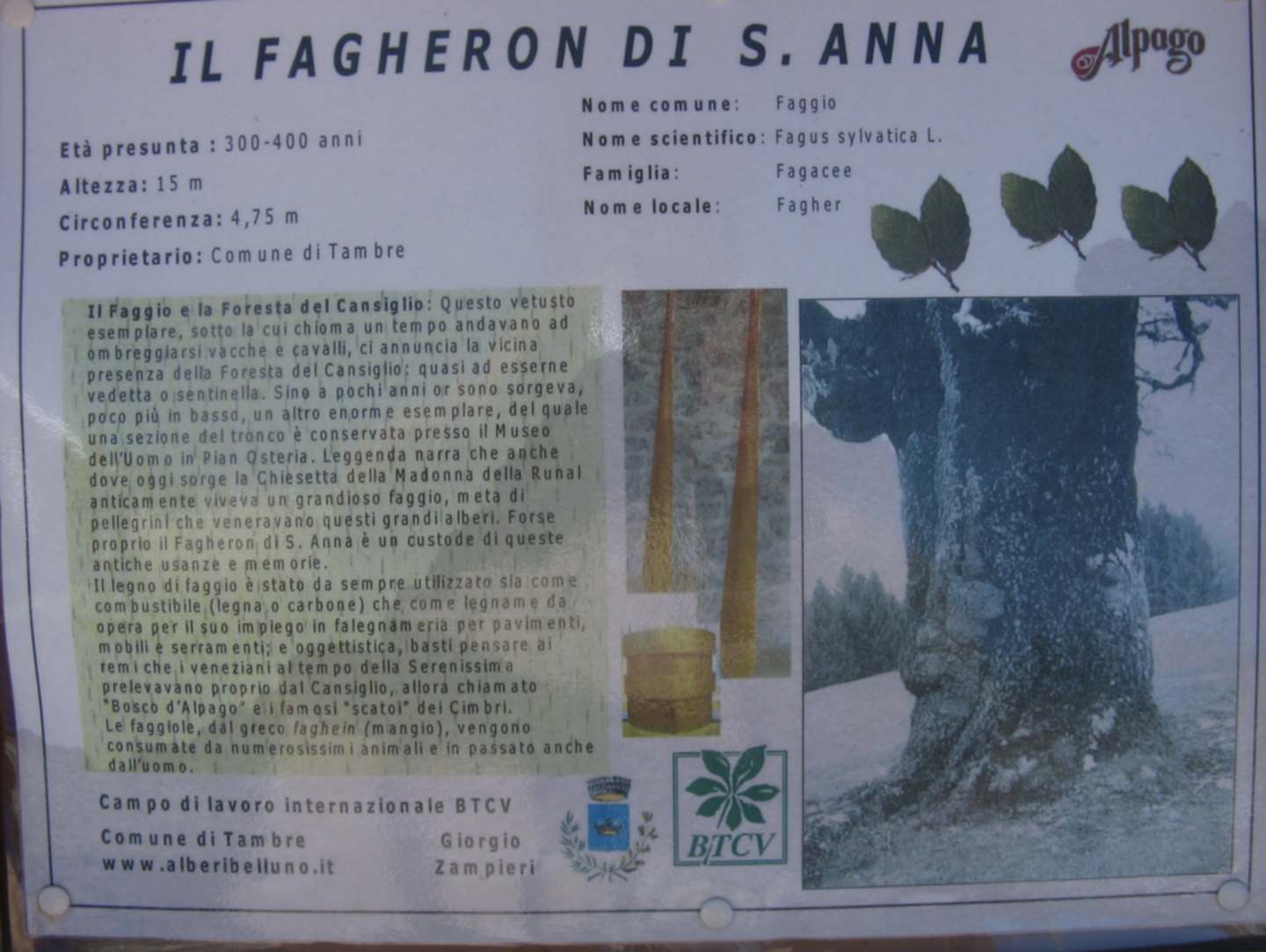 Il fagheron di Sant''Anna