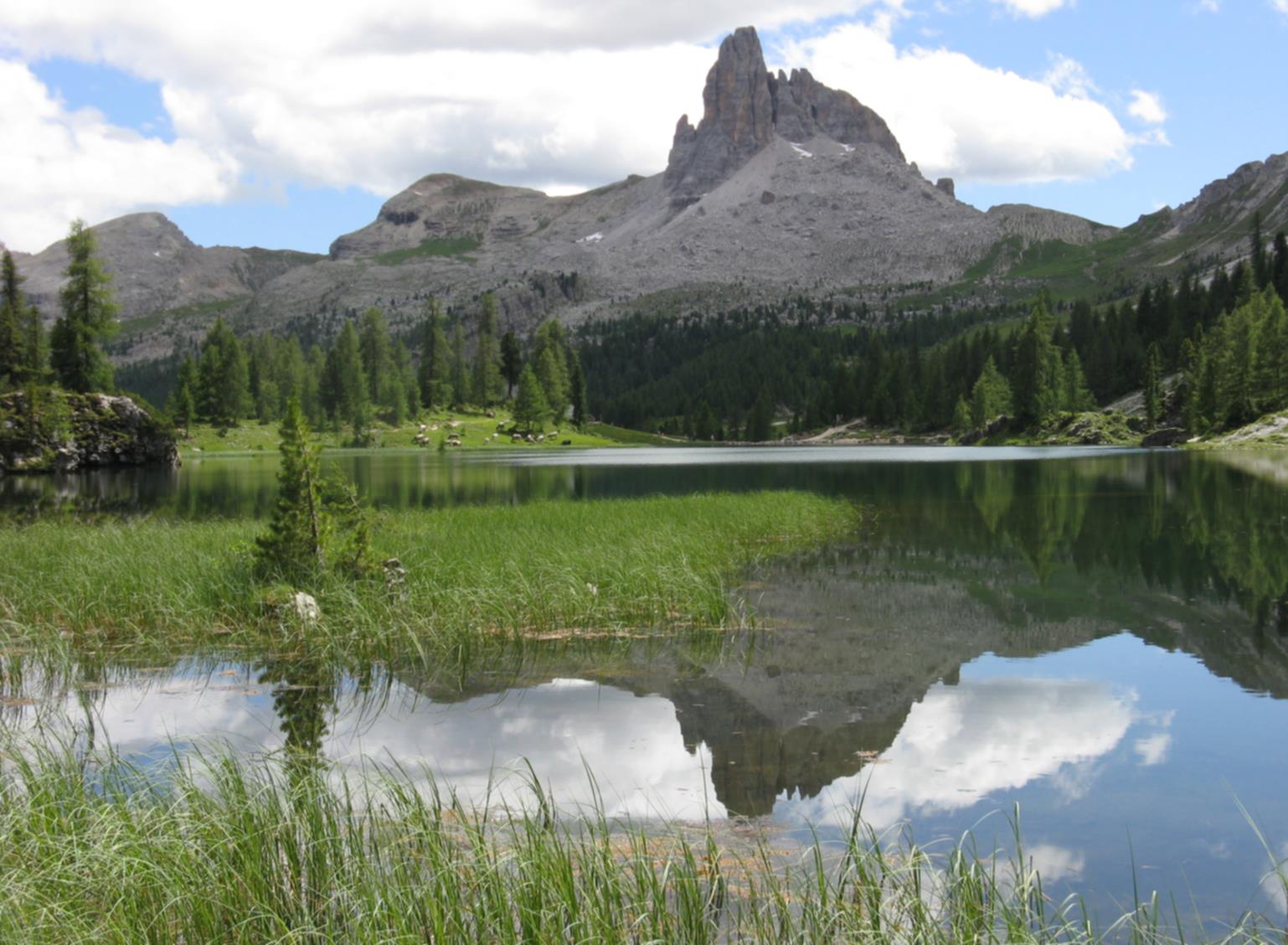 Scenari alpini