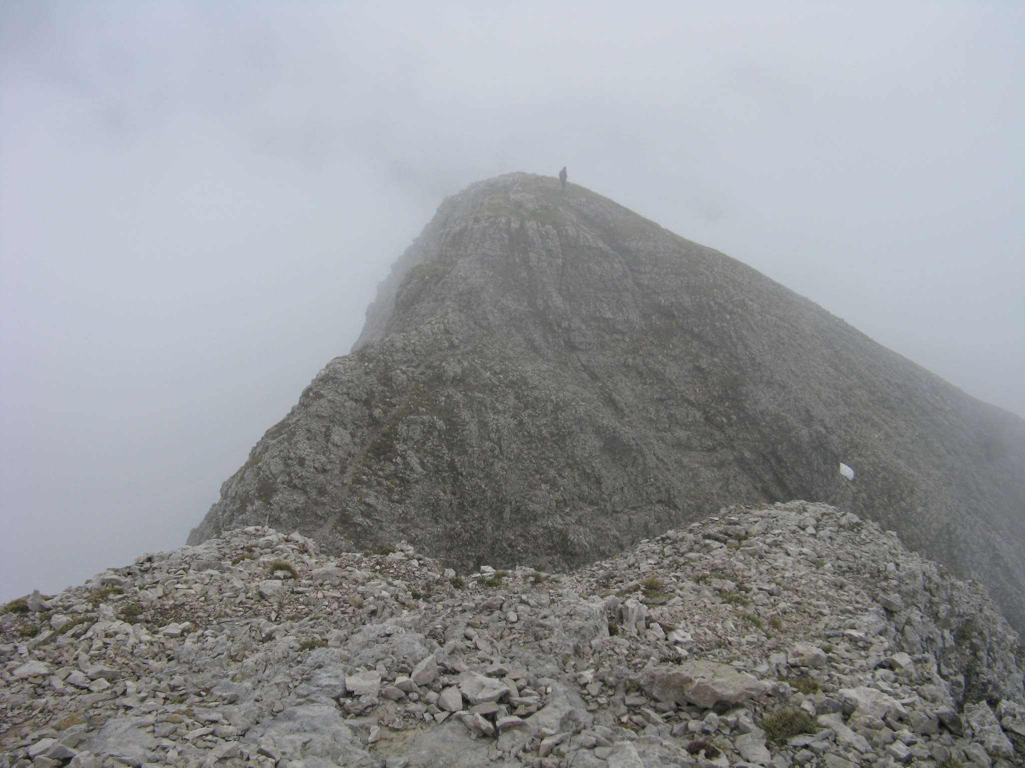 Ranunculus alpestris / Ranuncolo alpestre