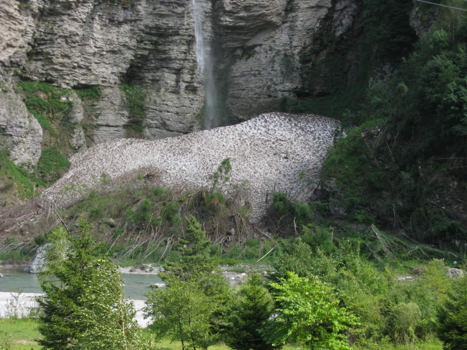 incredibile valanga basso cadore