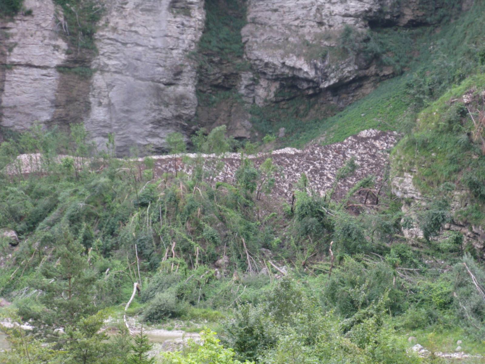 incredibile valanga basso cadore