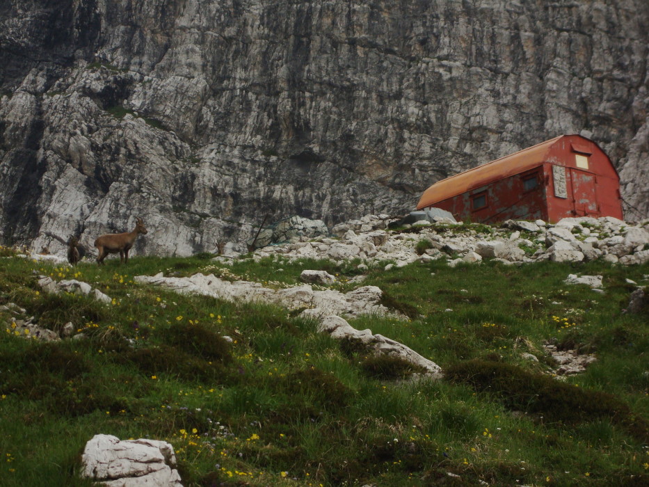 Rifugi e Bivacchi d''Italia.......