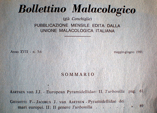 1) da confermare Turbonilla pseudogradata