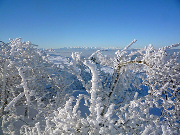 Galaverna sull''Appennino ligure piemontese