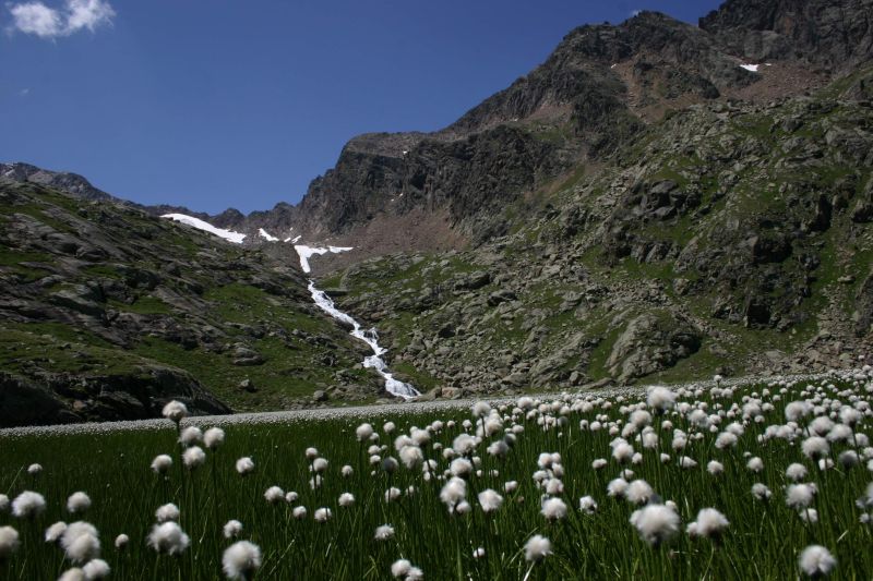 Laghi.....dell''ALTO ADIGE