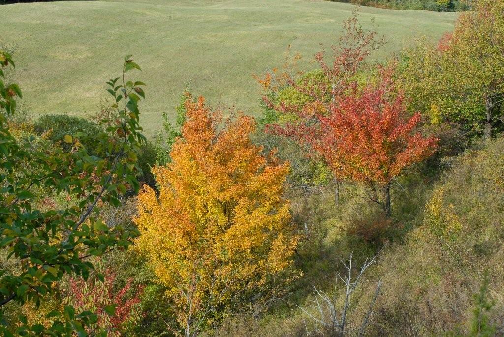 L''autunno sull''Appennino tosco emiliano