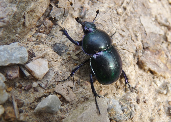 Valle del Farma e Stagno della Troscia: luoghi meravigliosi!