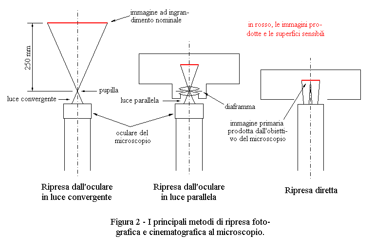 ripresa diretta e ripresa con oculare