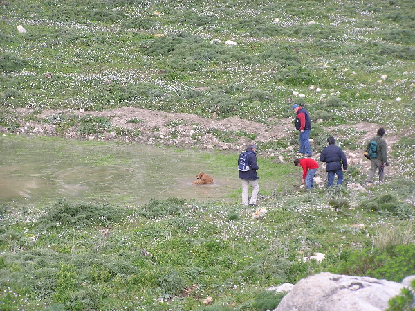 Organizziamo un''escursione preprimaverile in Sicilia?