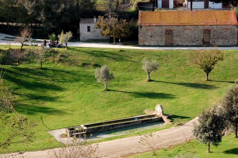 Fontanili del Lazio