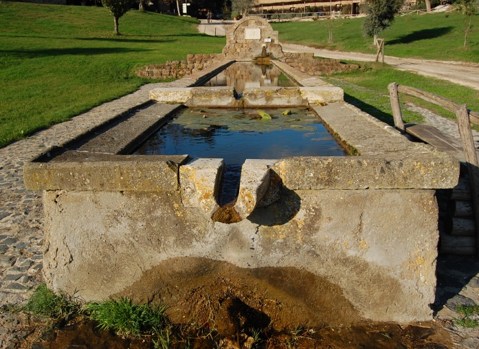 Fontanili del Lazio