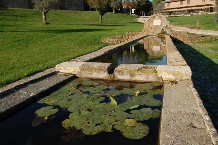 Fontanili del Lazio