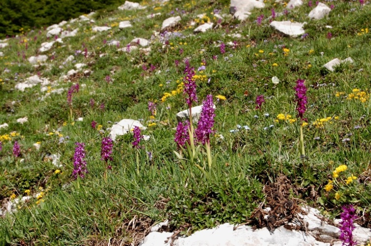 Appennino centrale - monti Ernici - salita al pizzo Deta