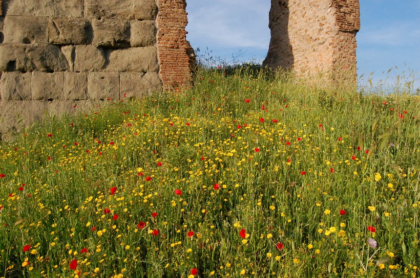 Roma - primavera nel parco archeologico degli acquedotti