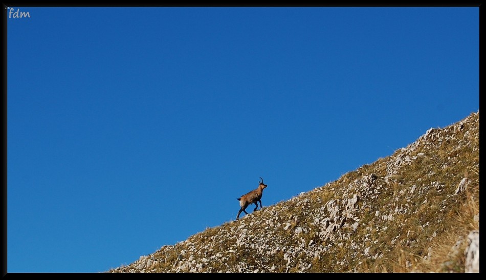 Gran Sasso d''Italia - salita sul Pizzo Cefalone 2533 mt.