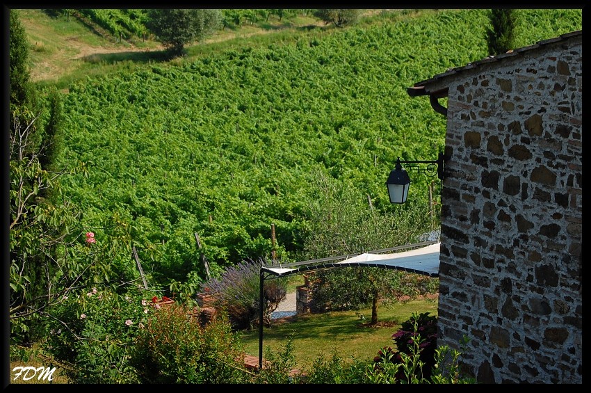 Magico Chianti tra pievi e piccoli borghi medioevali