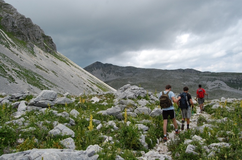 PNA - Nel regno del camoscio d''Abruzzo - monti della Meta