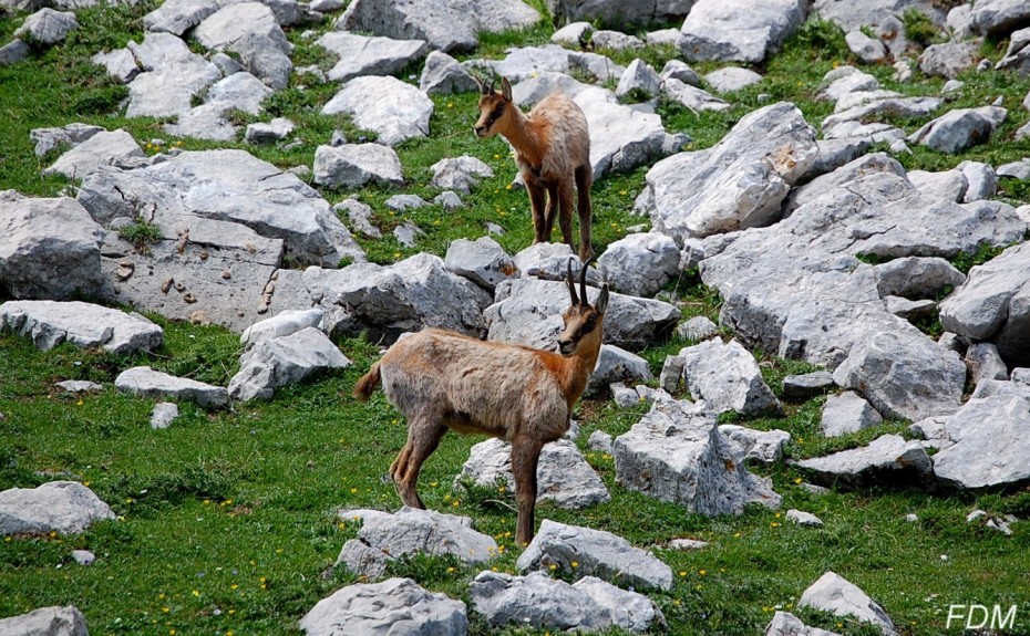 Giro ad anello sui monti della Meta